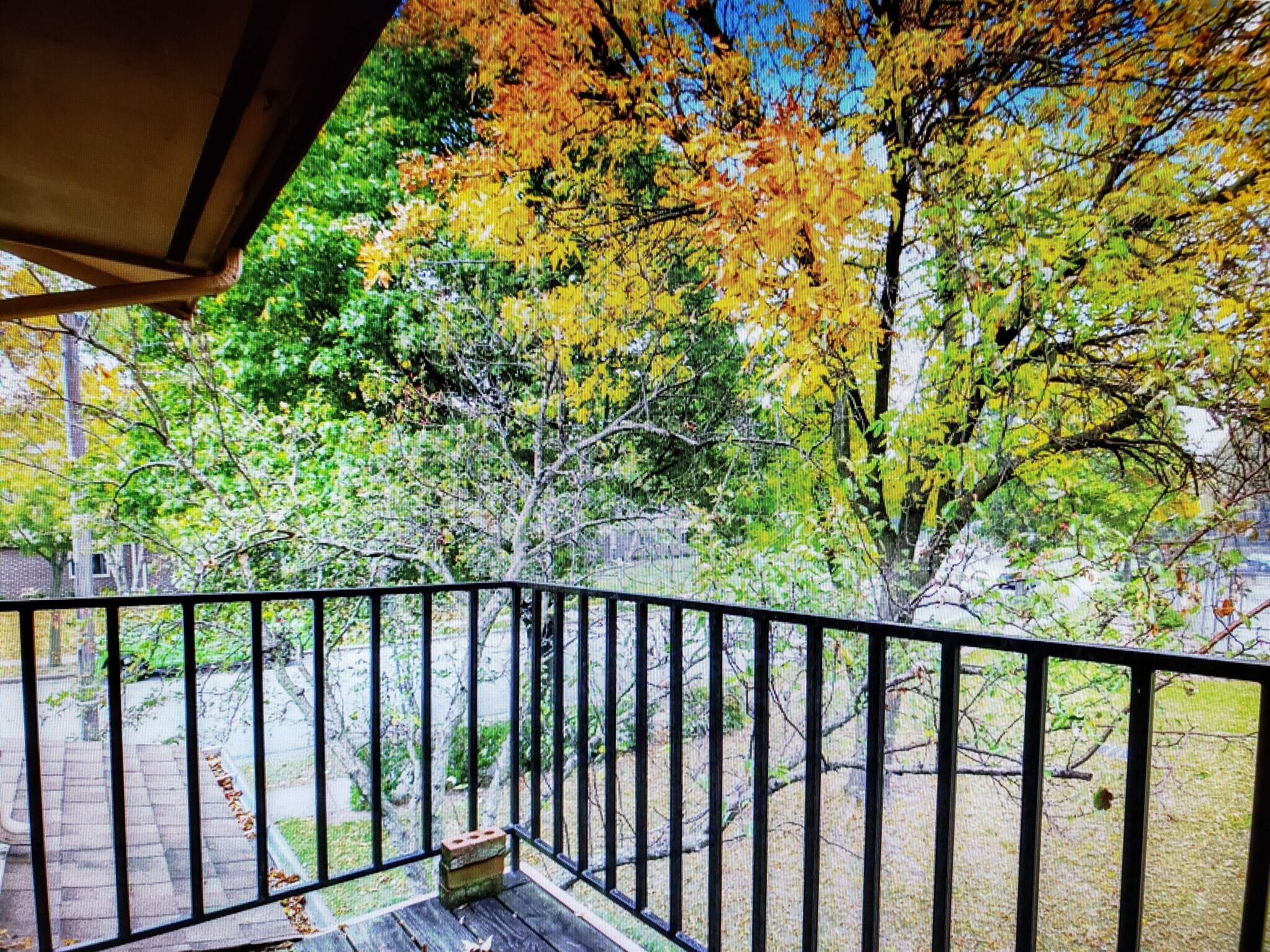 Balcony view - 401 Cheviot Chase