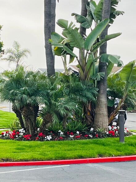 Building Photo - 21851 Newland St