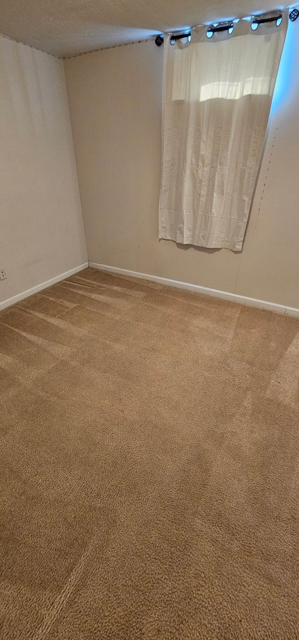 4th room in basement - 6083 Bolamo Ct