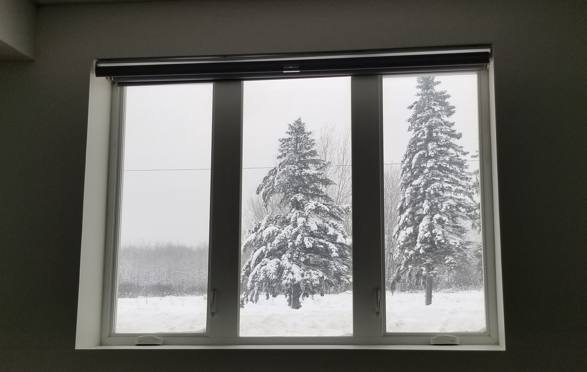 Living Room View - 815 Railroad Ave