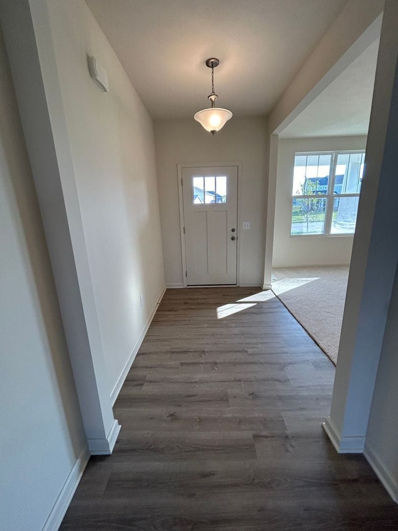 Building Photo - 6929 Hornbeam Cir