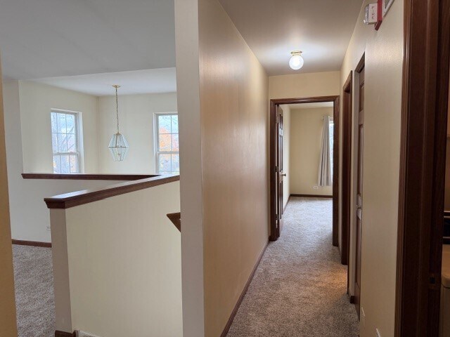 Building Photo - 2418 Oneida Ln