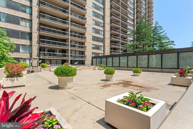 Building Photo - 3701 S George Mason Dr
