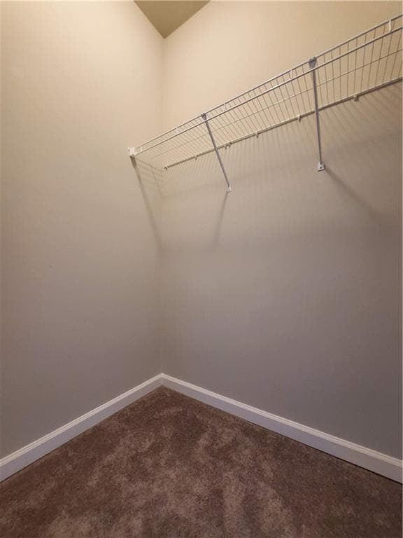 Building Photo - 165 Canvas Ives Dr