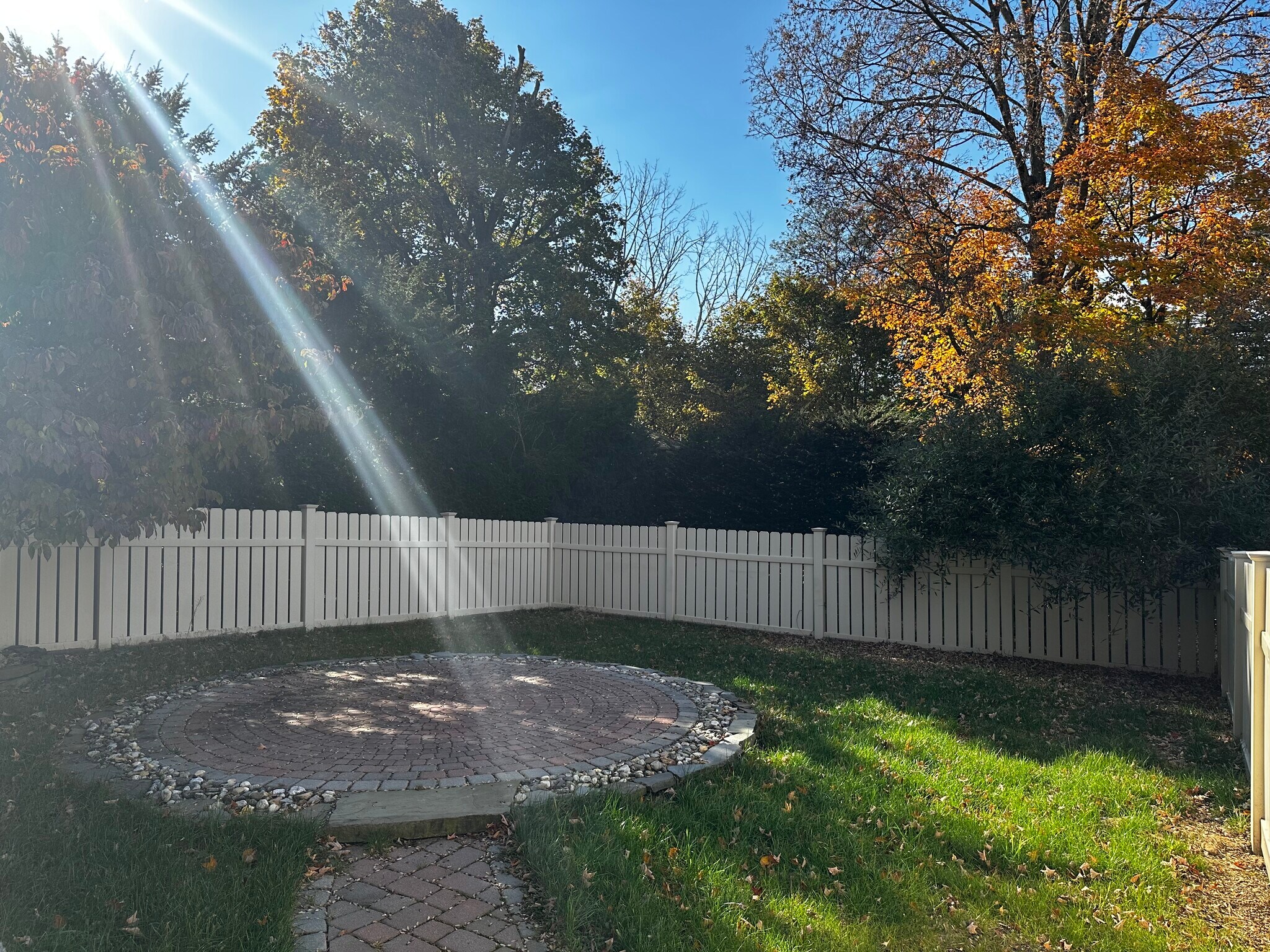Backyard - 39 Bartholdi Ave