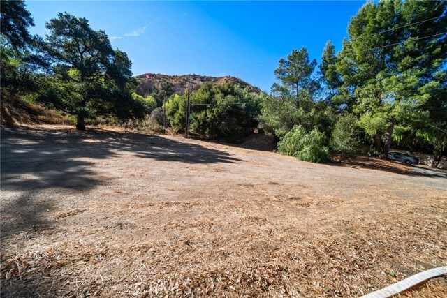 Building Photo - 16034 Placerita Canyon Rd