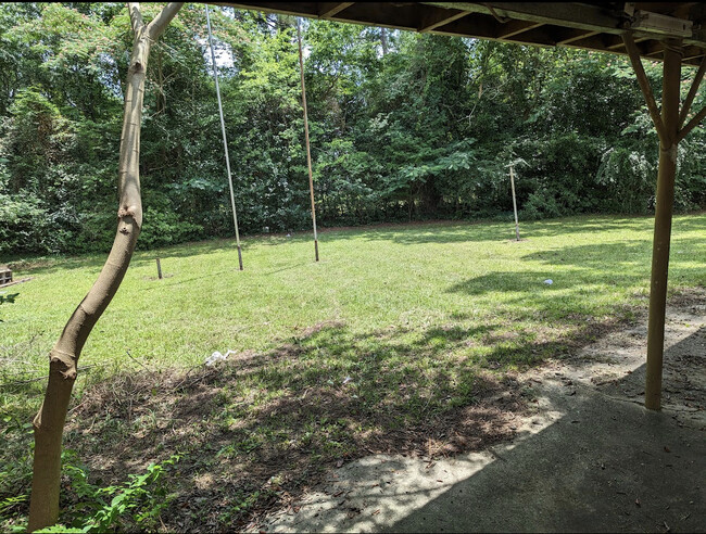 Backyard - 4170 Briarwood Ct