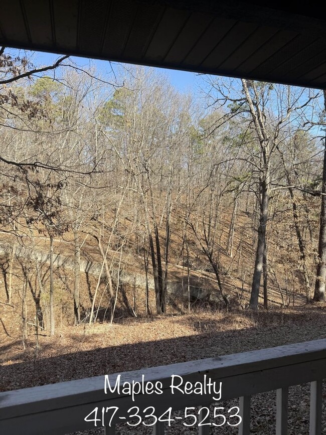 Building Photo - NEW LISTING - ? Furnished Studio Apartment – Utilities Included – Branson, MO ? near Silver Dolla...