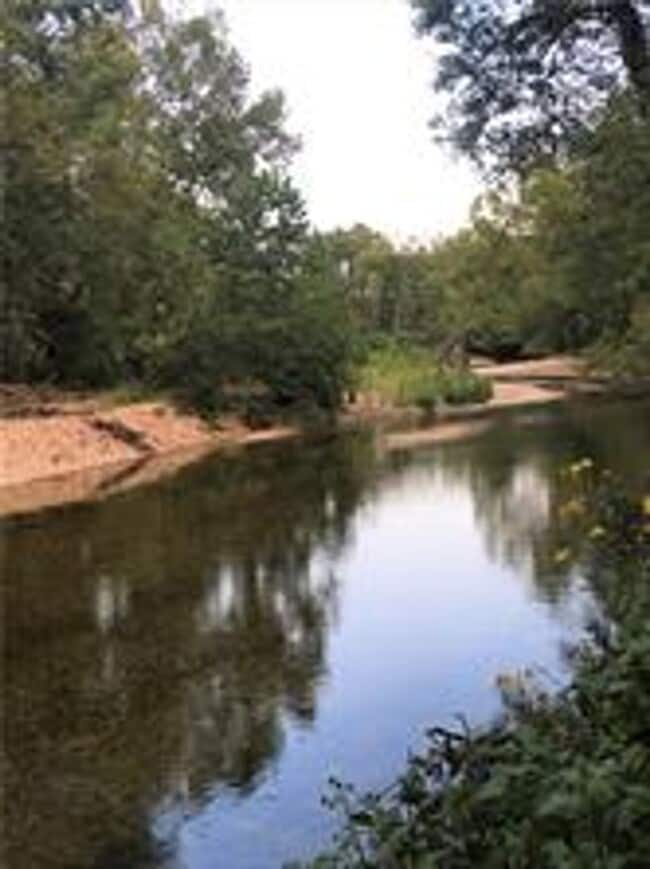 Building Photo - 48 Grisham Dr