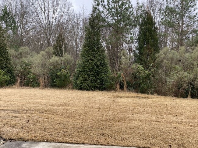 Building Photo - Great 2 Story 3 Bedroom Townhome in Stone ...