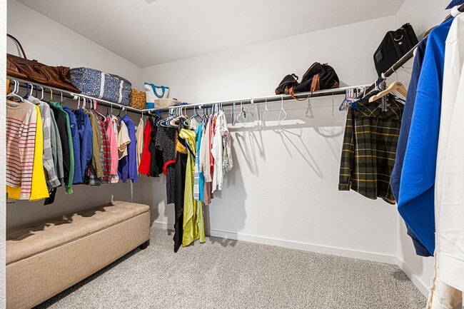 Building Photo - 12313 Churchill downs Dr