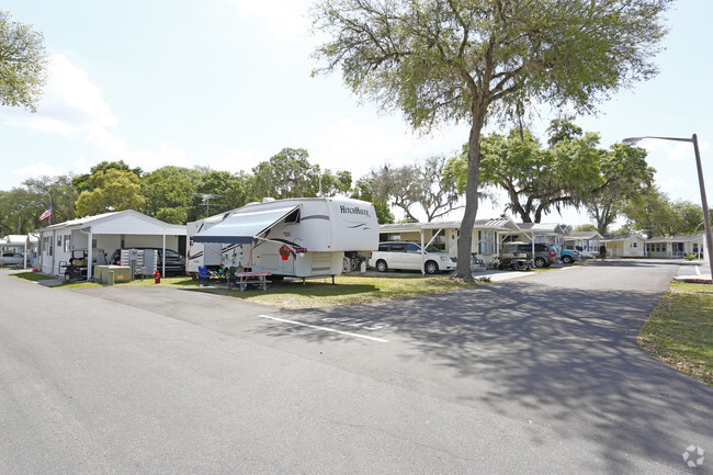 Escape to Sunshine and Southern Charm: Dixieland RV Park, Florida