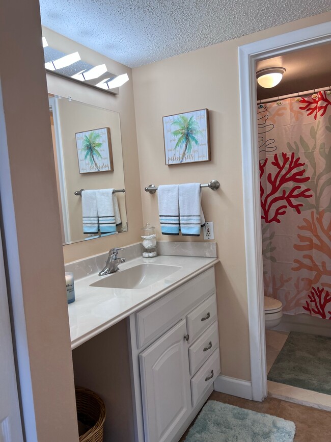 Master bath with plenty of counter space to get ready - 6219 Palma Del Mar Blvd S