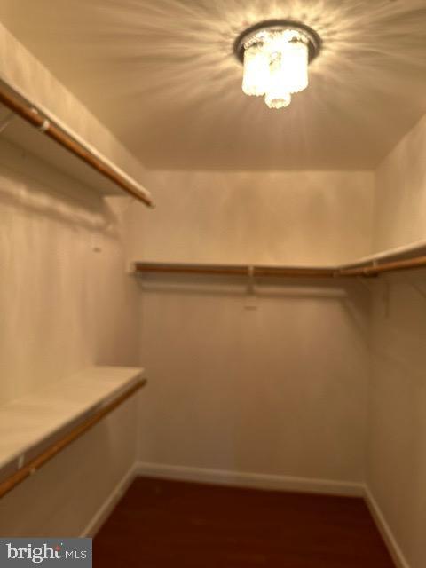 Building Photo - 1811 Fallbrook Ln