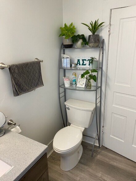 Bathroom backside - 319 Stewart Ave B Marlena