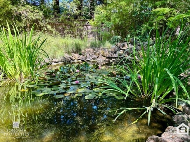 Building Photo - Inviting 3BD/2BA Home in Glen Ellen