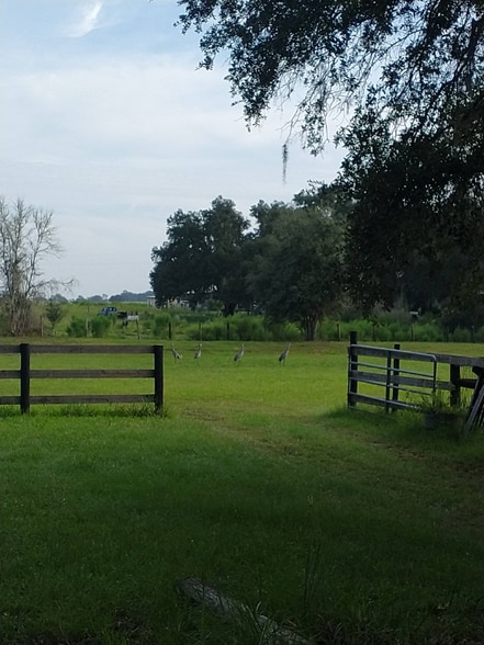 Building Photo - 7090 SE 181 Ct