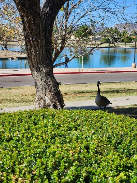 Lake visitor. - 5050 N 81st St