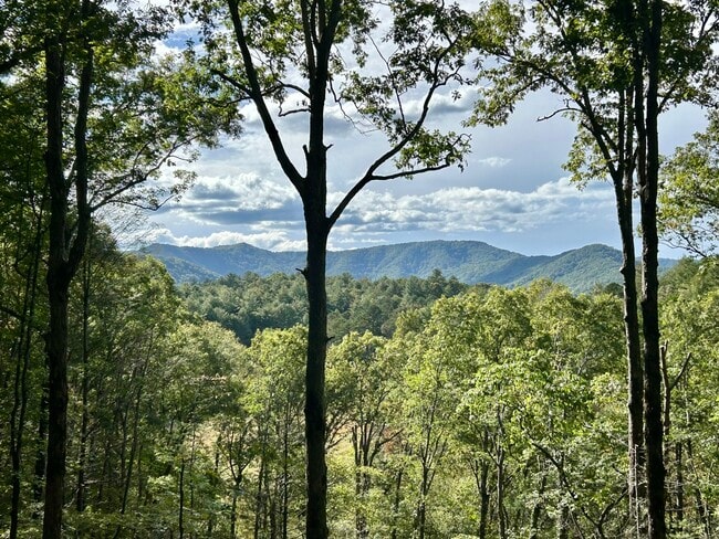 Building Photo - 808 Mill Stone Mountain Ln