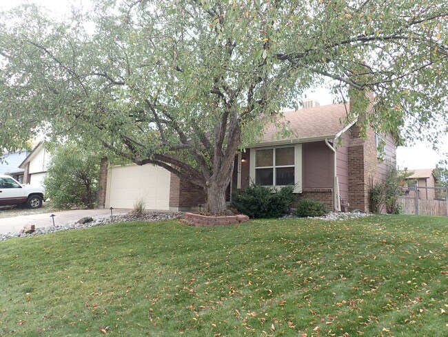 Primary Photo - 4885 S Iris St