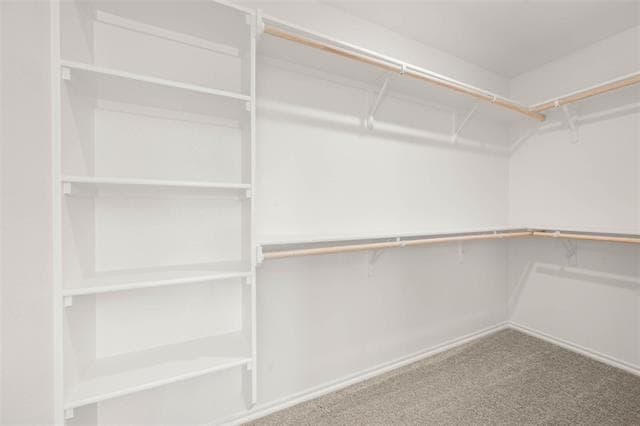 Building Photo - 814 Misty Ln