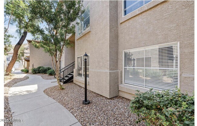 Building Photo - 3236 E Chandler Blvd