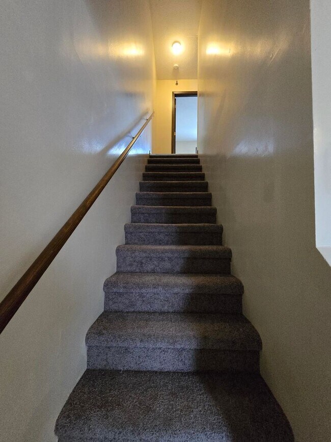 Building Photo - 20a Paul St