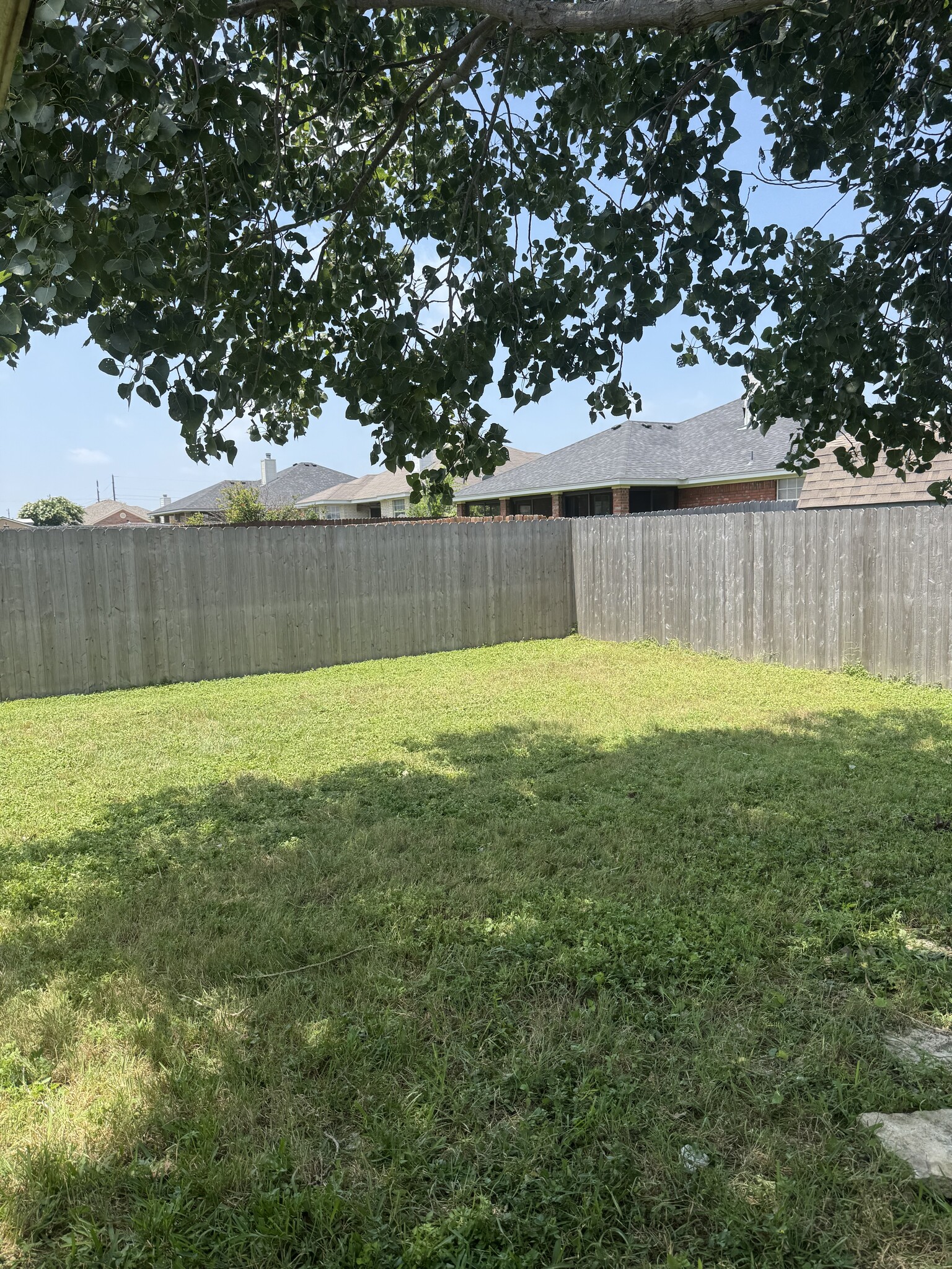 Backyard - 4301 Capri Dr