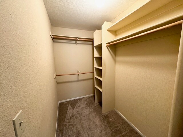 Building Photo - 120 Reflections Dr