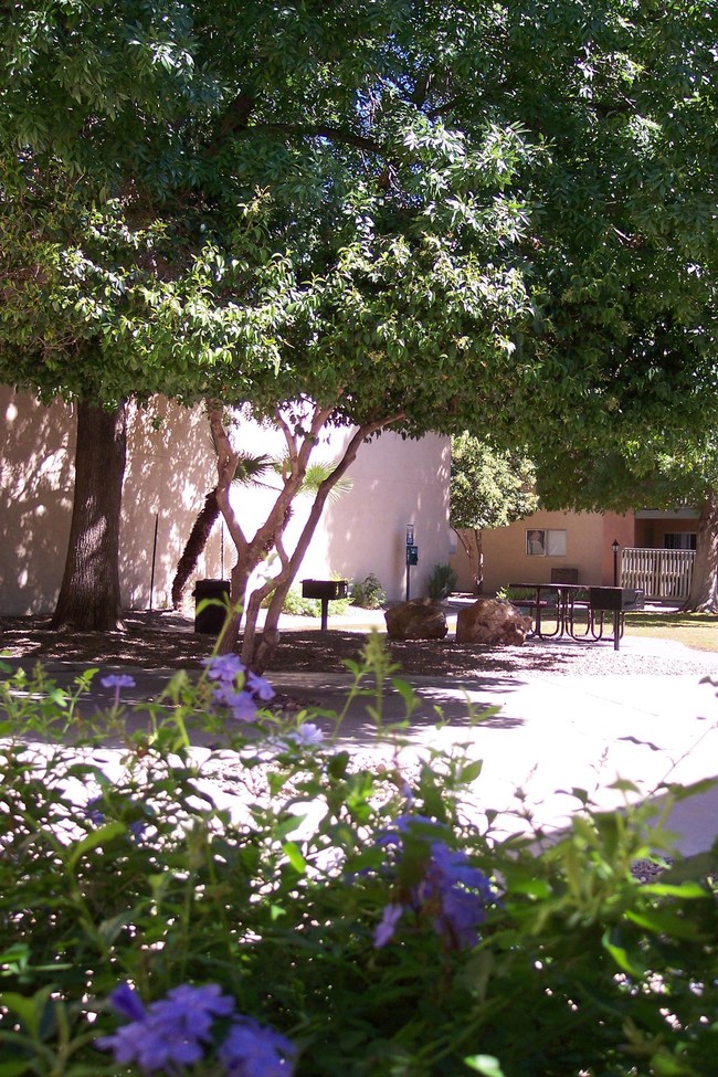 Pantano Villas Apartments - Tucson, AZ | Apartment Finder