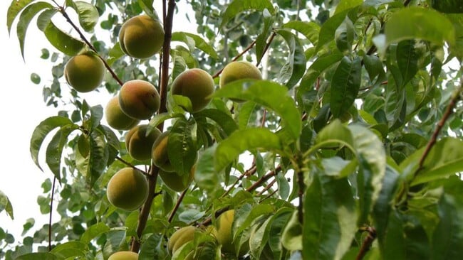 Building Photo - 2867 NE Sedalia Loop