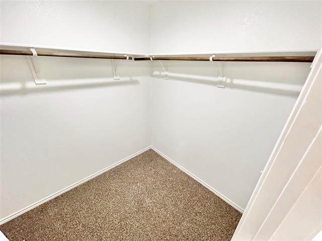 Building Photo - 1125 Silver Maple Ln