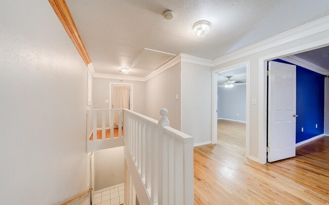 Building Photo - 3905 Billingsley St