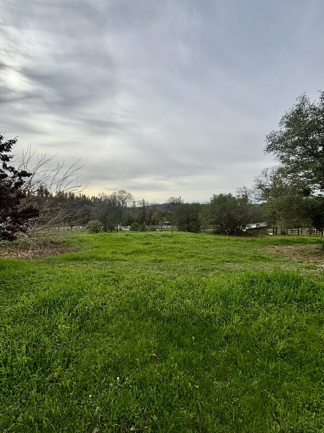 Building Photo - 10389 N Ponderosa Way