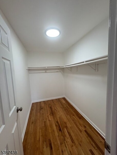 Building Photo - 115 Fabyan Pl