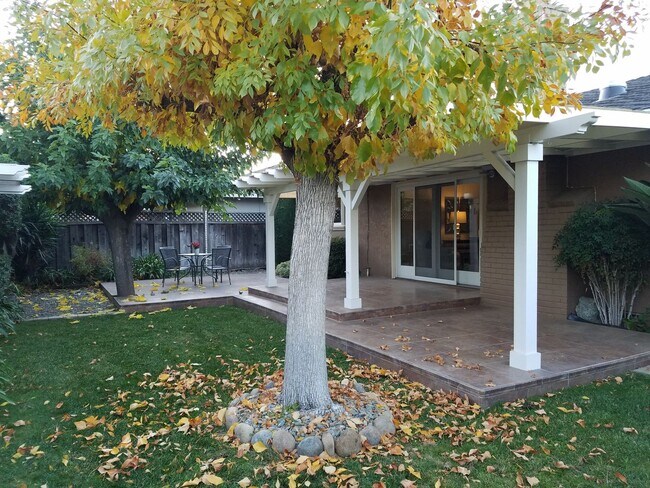 Building Photo - Beautiful 3 bed 2 bath Cambrian home in a ...