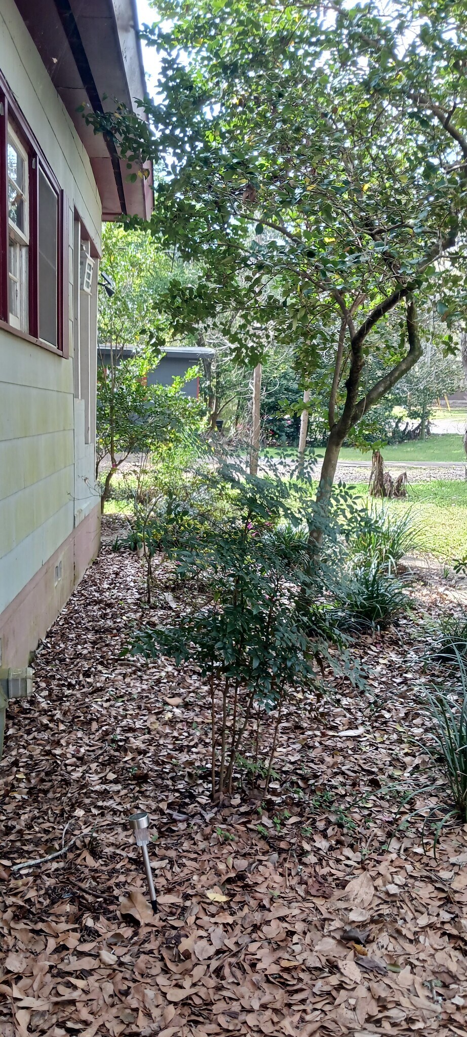 Building Photo - 1641 Atkamire Dr