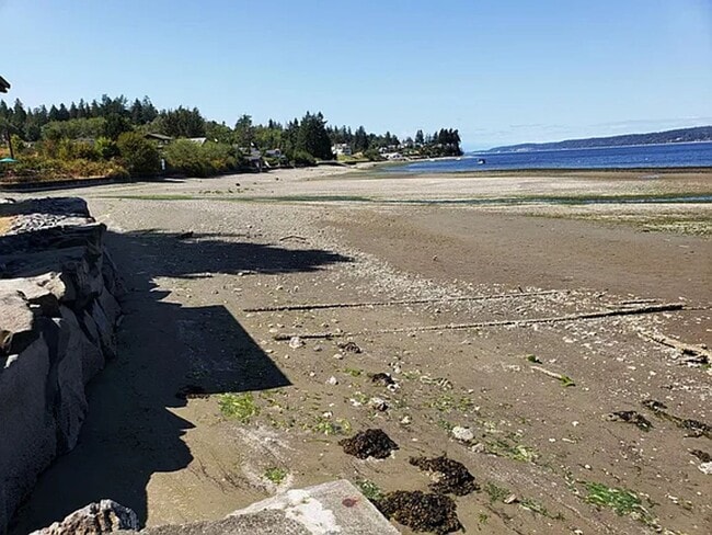 Building Photo - Two Bedroom Home on Waterfront - Furnished Option - Available Now