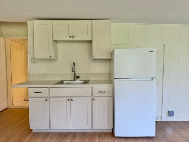 Building Photo - Newly Renovated 4 Bedroom / 2 Bathroom Home for Rent in Lahaina!