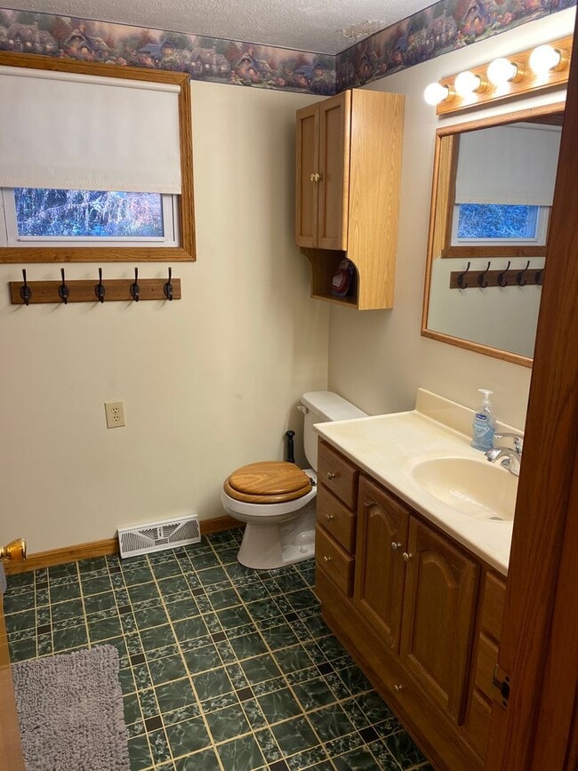 Building Photo - 3bed 2bath Home with Atwood Lake Views