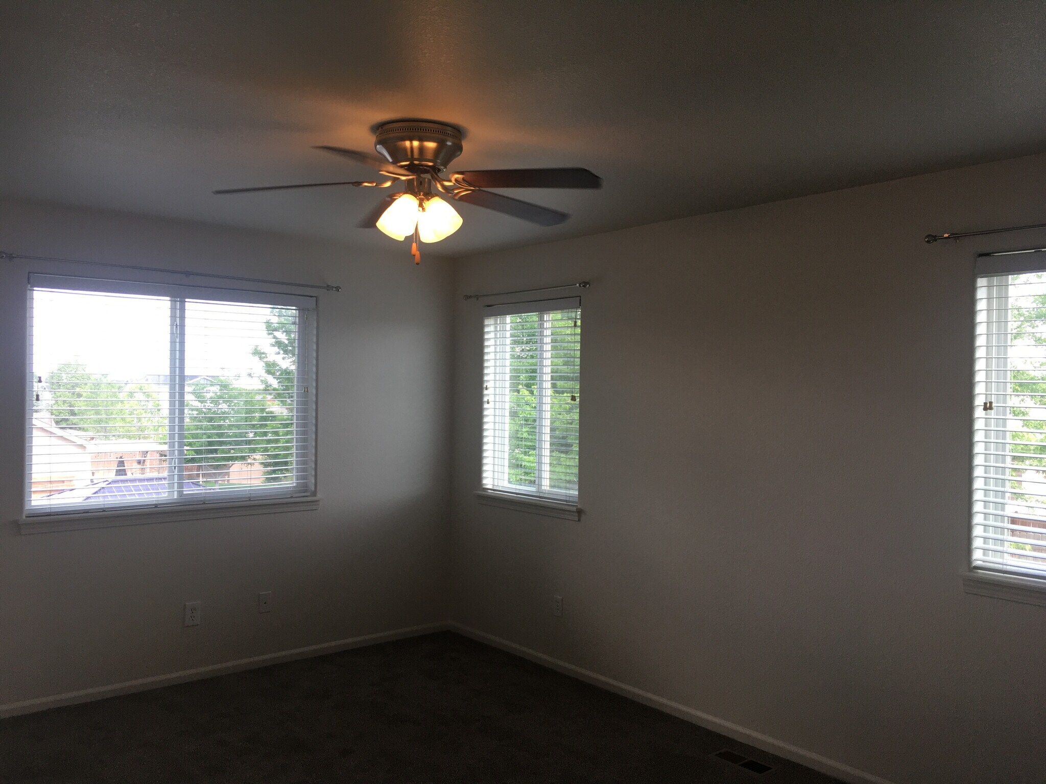Large Master - 809 Scotch Pine Dr