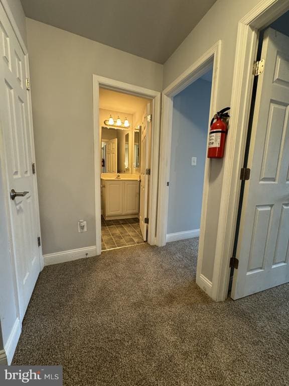 Building Photo - 116 Black Duck Ct