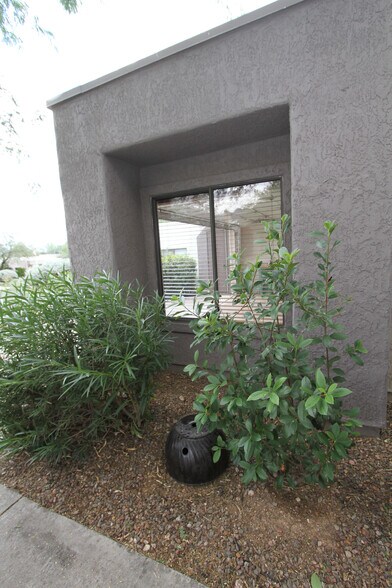 Side of house - 5557 N Mica Mountain Dr