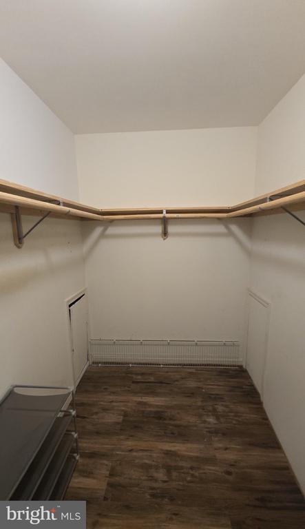 Building Photo - 10544 Catalina Pl