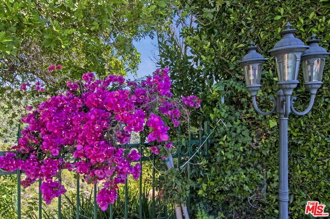 Building Photo - 2546 Cordelia Rd