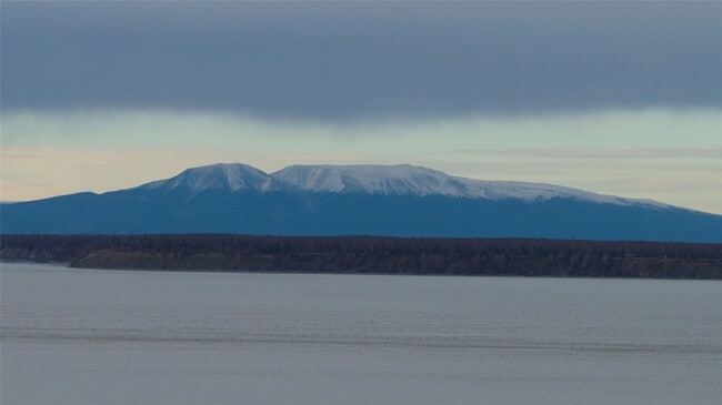 Building Photo - 1303 W 23rd Ave