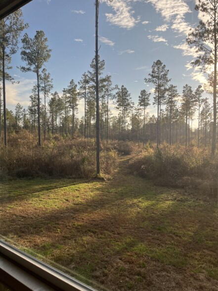 Building Photo - 733 Athens Rd