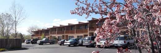 Primary Photo - 1500 Luisa St