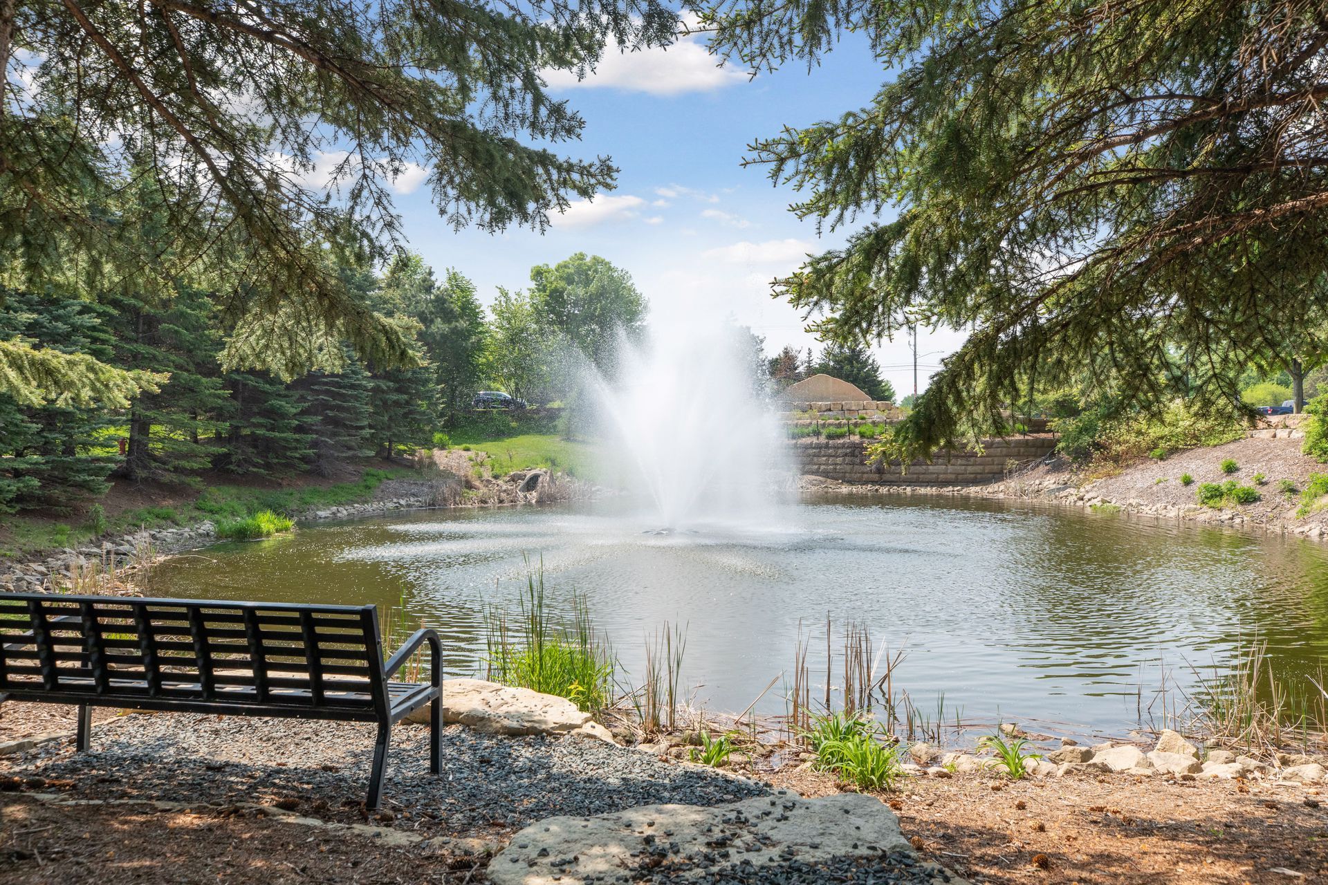 Building Photo - 10749 Falling Water Ln