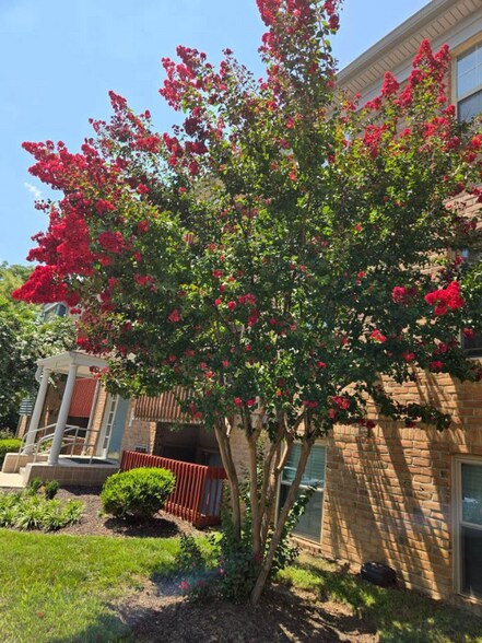 Building Photo - 6 Banyan Wood Ct